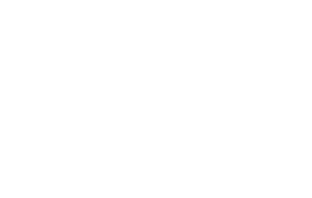 Llwyn Country House